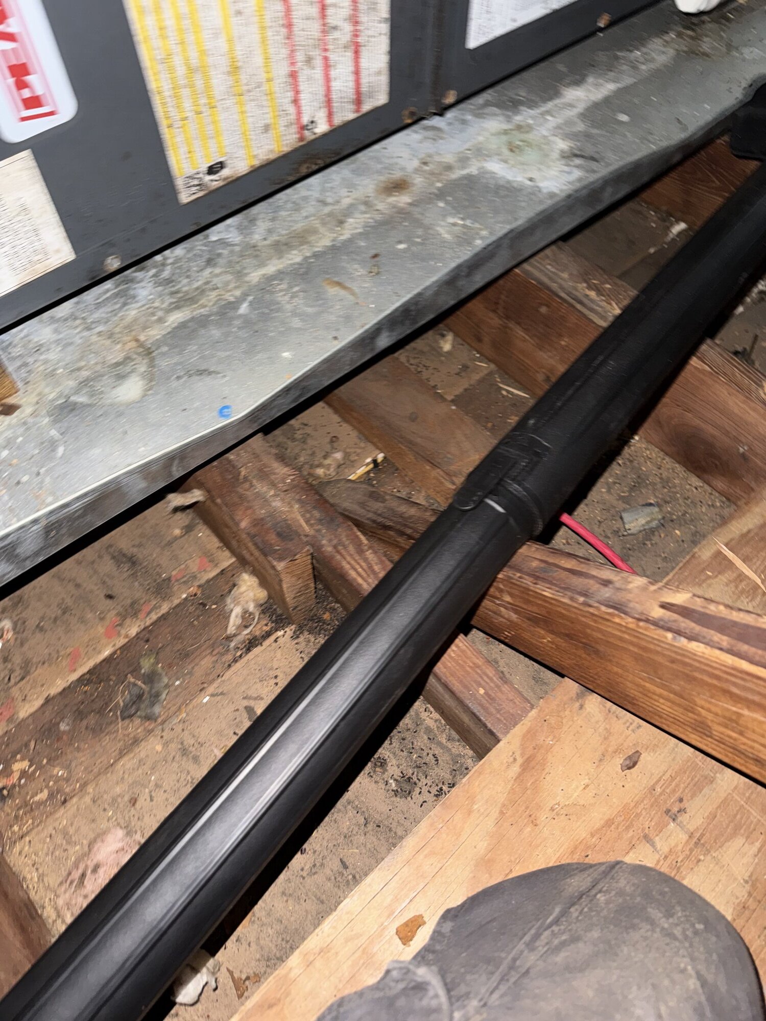 Rodent-contaminated attic insulation before removal